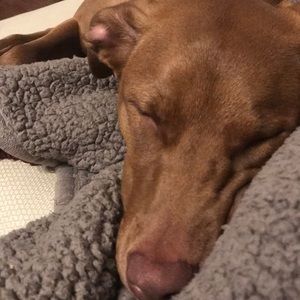 Meet your Posher, Krista